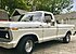 1973 Ford F100 2WD Regular Cab for sale 101109933